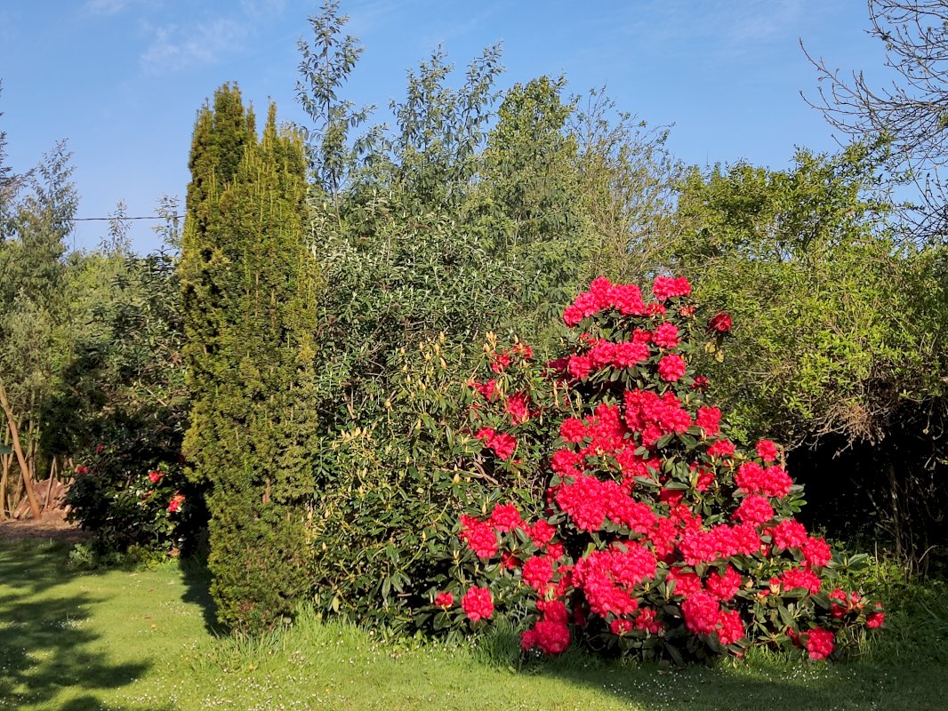 ph10_8906