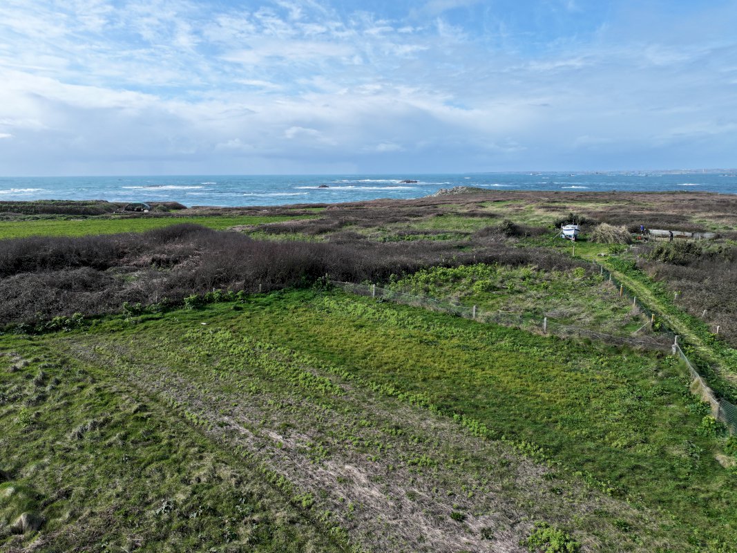 ph3_8823