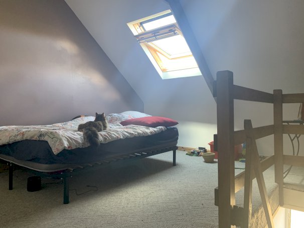 Longère - Photo 10 - Rostrenen