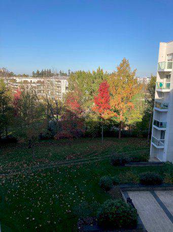 APPARTEMENT - Photo 12 - Rennes