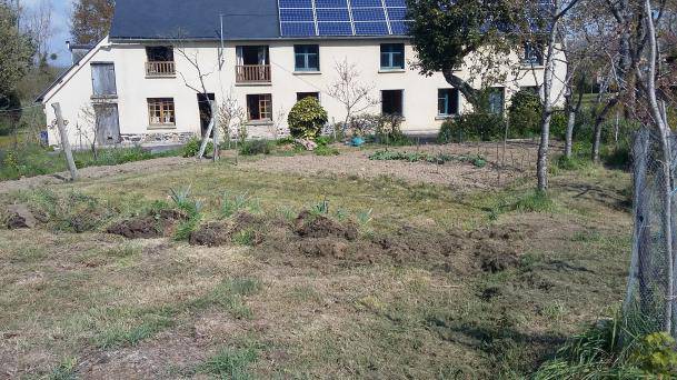 Ancien corps de ferme - Photo 12 - Caulnes
