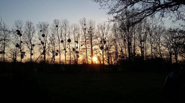 Ancien corps de ferme - Photo 13 - Caulnes