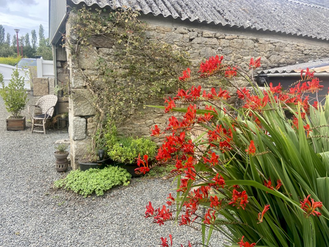 Maison charme de 107m² - Photo 13 - Plounérin