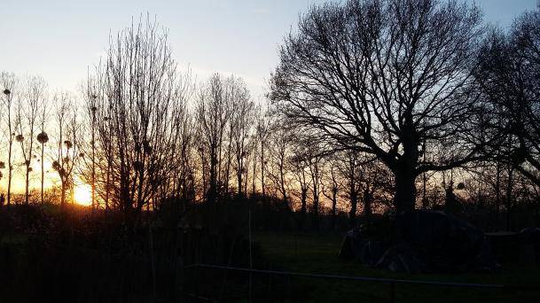 Ancien corps de ferme - Photo 14 - Caulnes