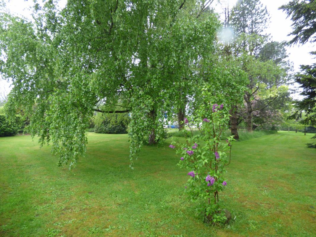 Propriété familiale en Centre Bretagne - Photo 14 - Ménéac
