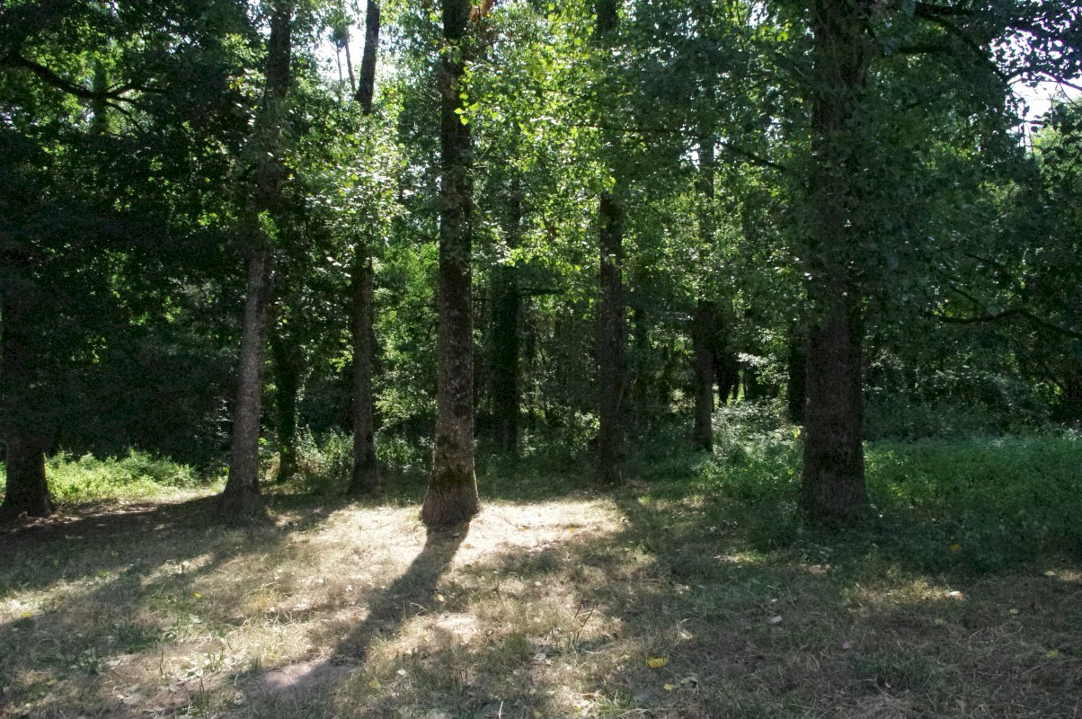 A vendre Propriété rurale avec dépendances à rénover - Photo 14 - Plémet