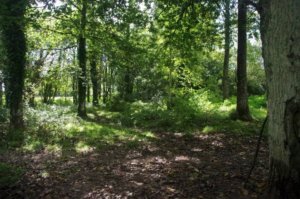 A vendre Propriété rurale avec dépendances à rénover - Photo 15 - Plémet