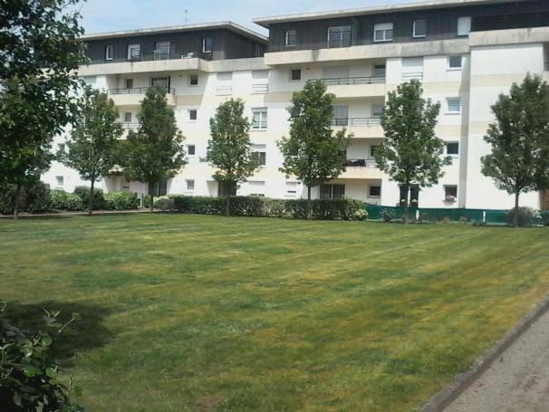 Bel appartement T3 - Photo 1 - Quimper