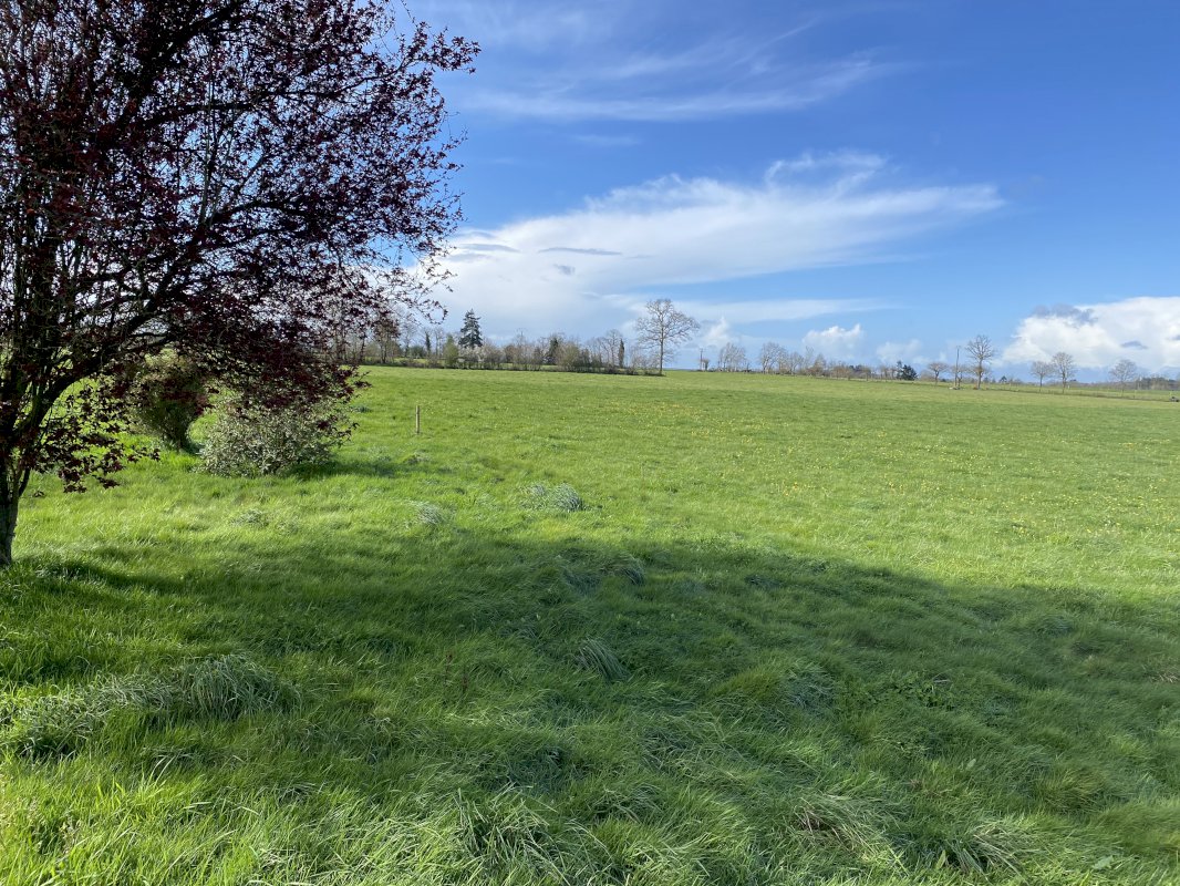 Maison en campagne - Photo 3 - Saint-Ouen-des-Alleux