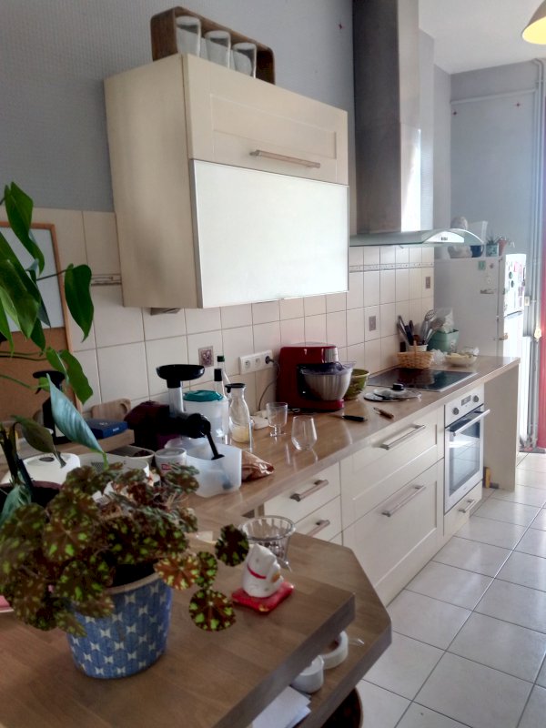 Grand Appartement - Photo 3 - Plancoet