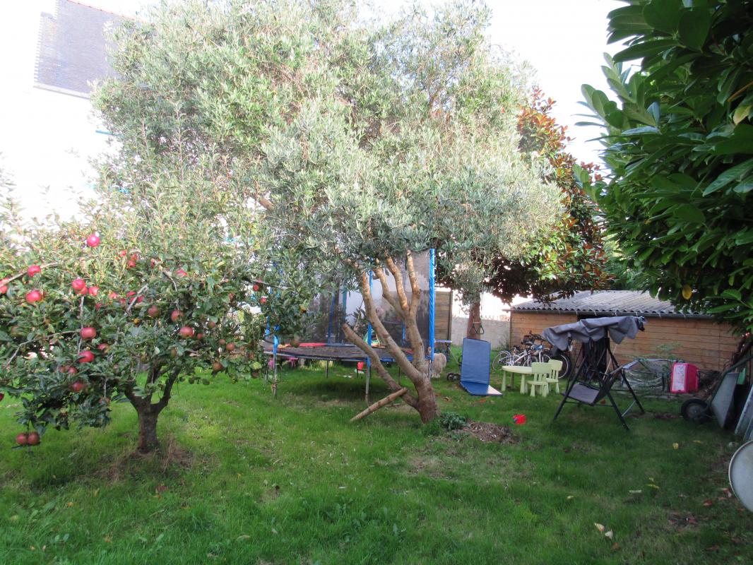 Maison de 168 m² - Photo 5 - Saint-Pol-de-Léon